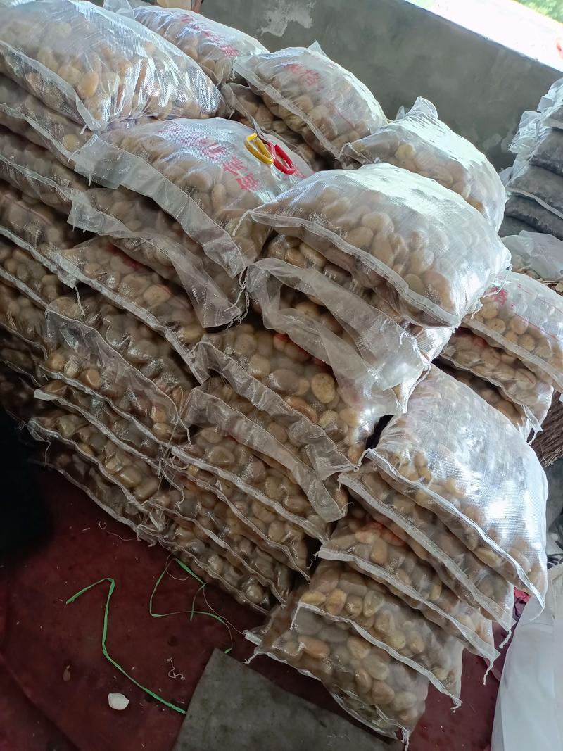 阳泉商品批发行业的最新趋势与机遇