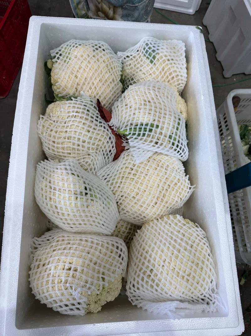 批发零售